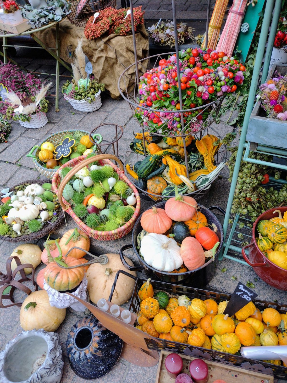 IMG_20220917_112952357