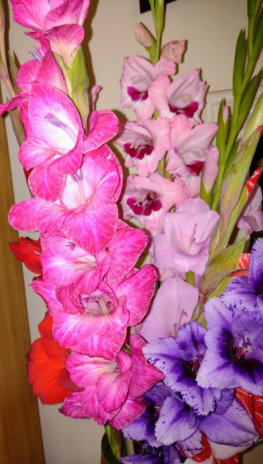 IMG_20220919_131602318