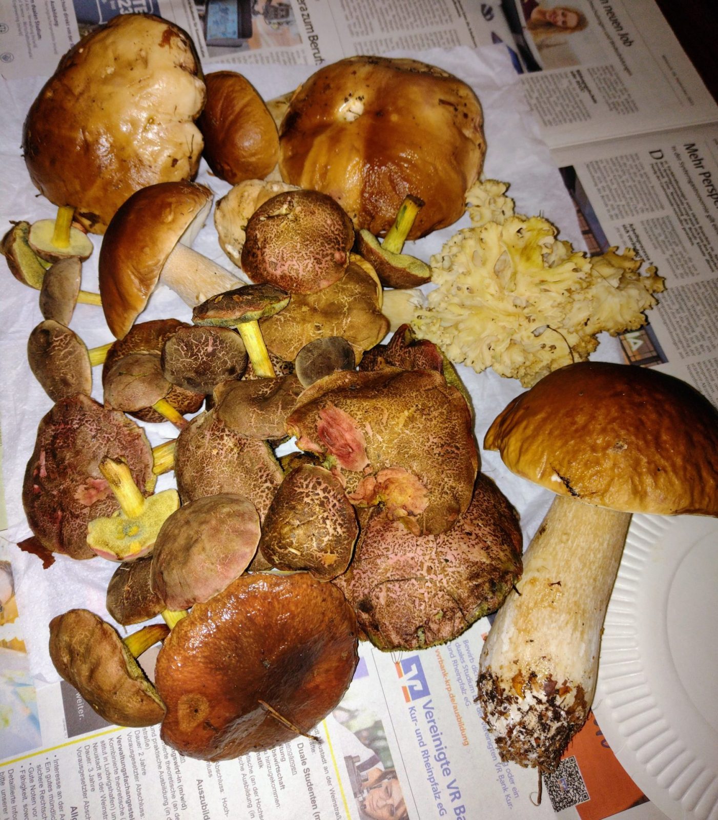 IMG_20220929_144812847