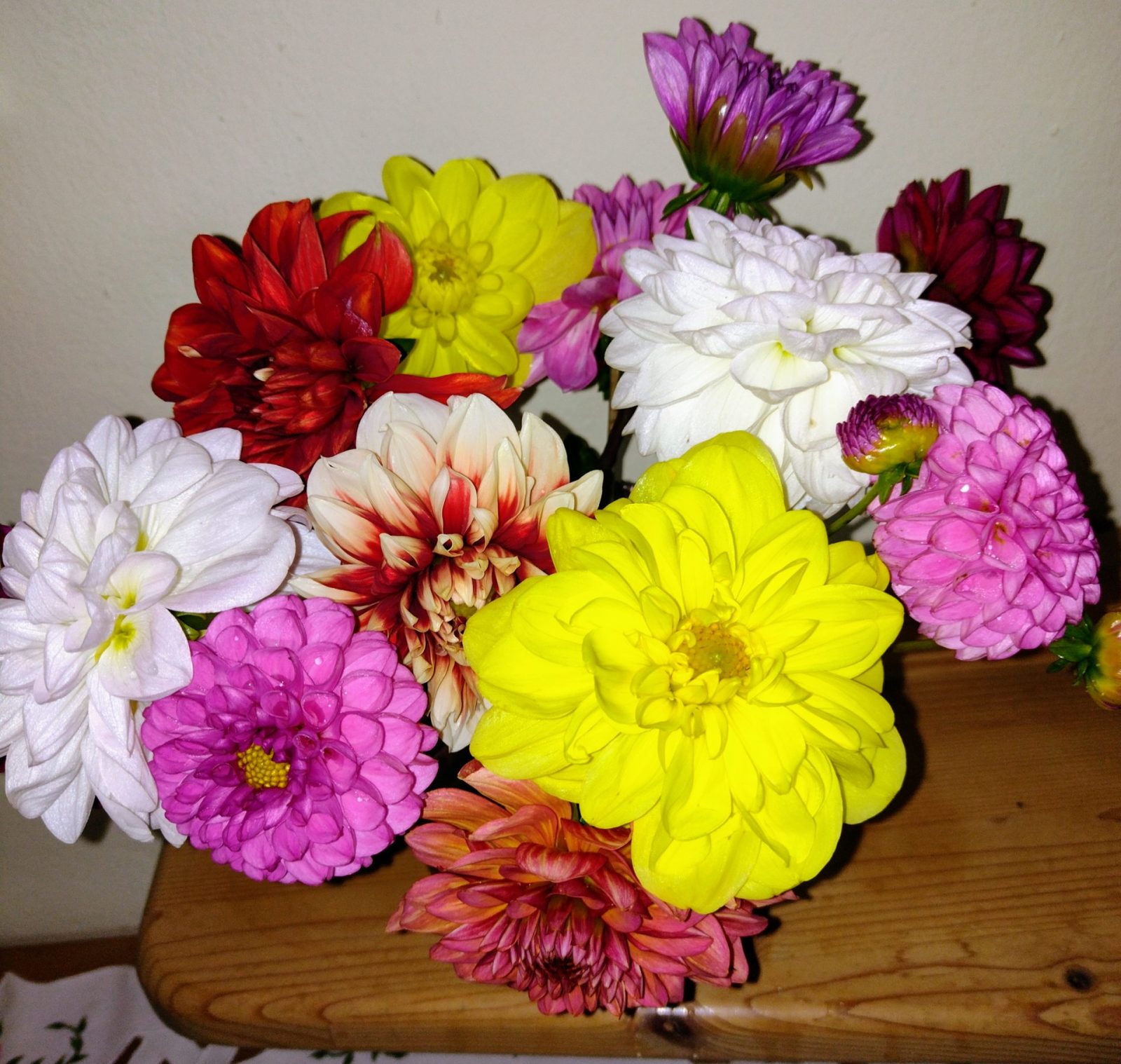 IMG_20220929_145347295