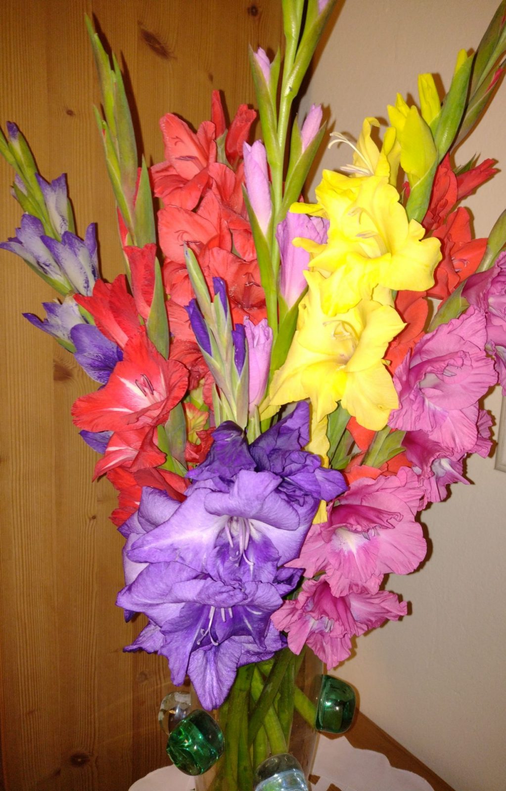 IMG_20221002_191842652