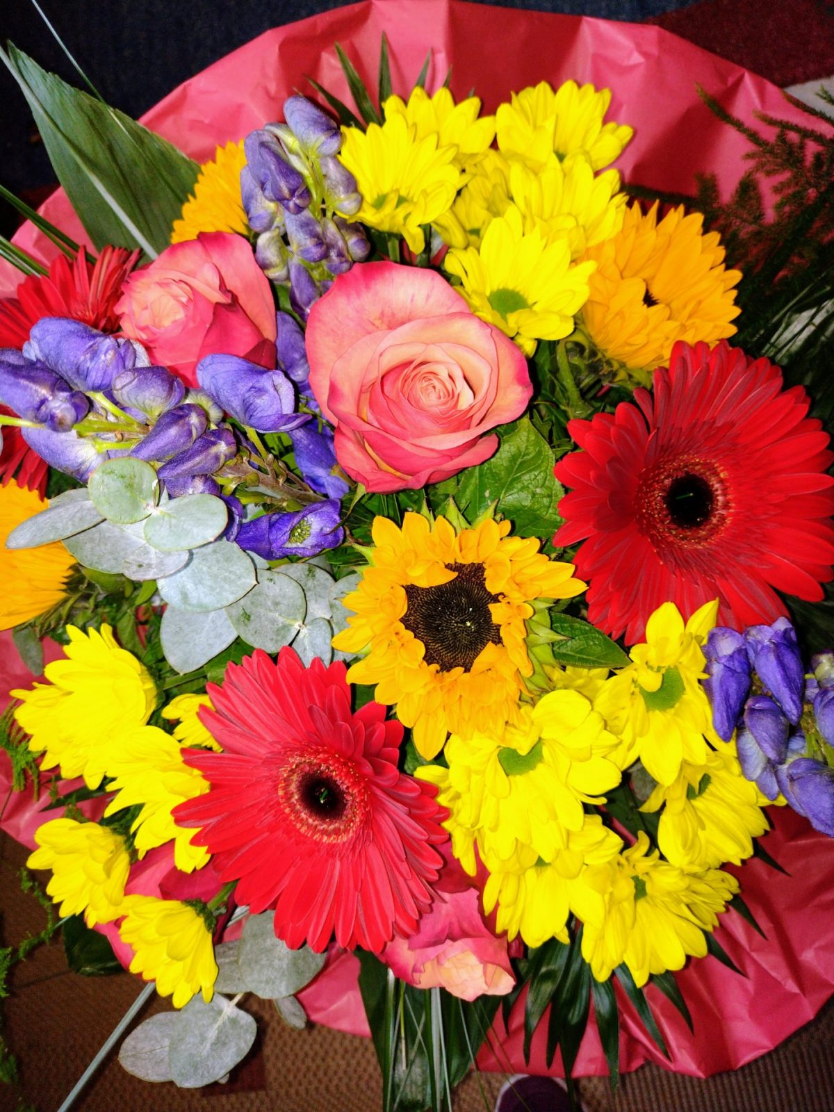 IMG_20221007_102450898