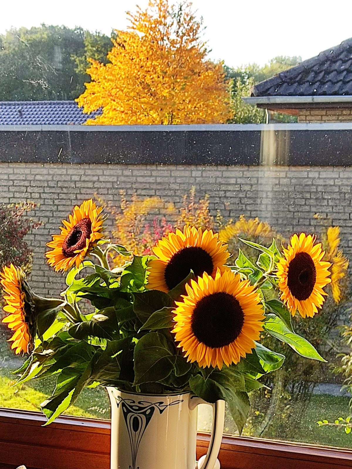 IMG_20221008_085742~2