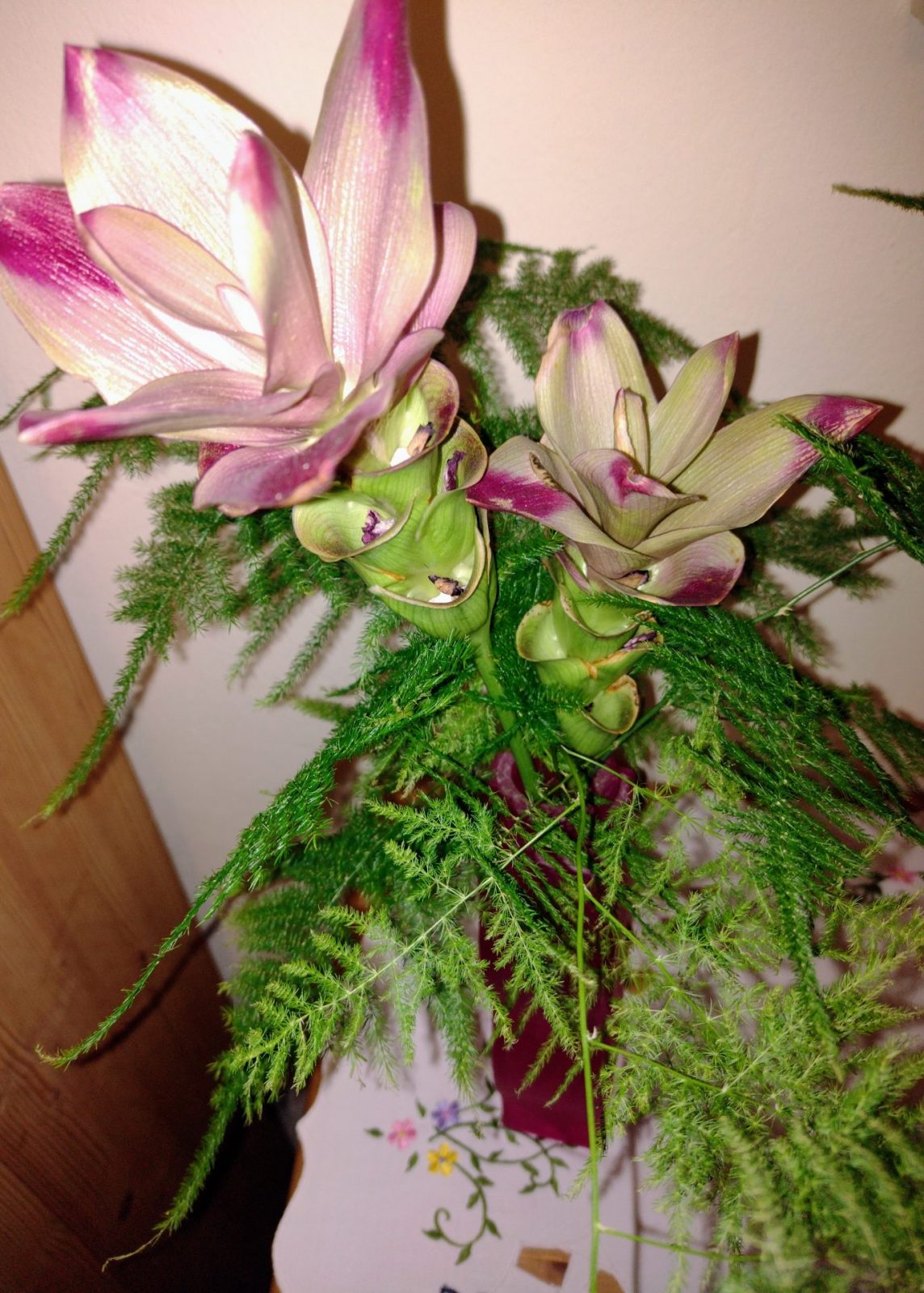 IMG_20221017_071634714