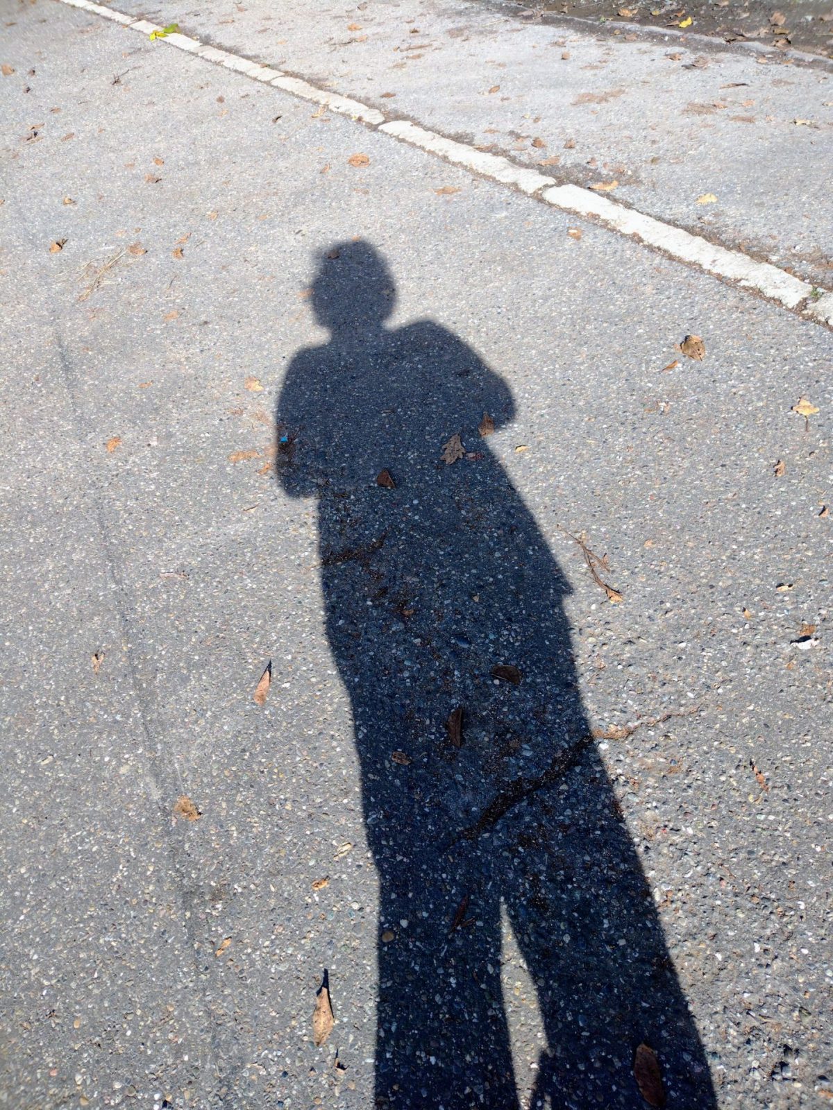 IMG_20221017_115751883