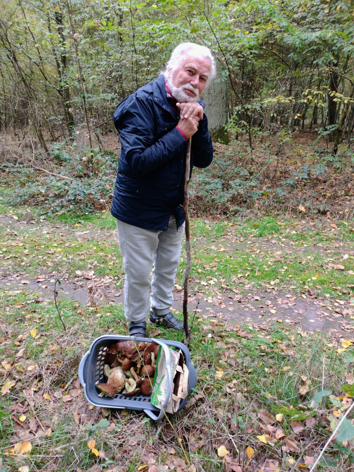 IMG_20221020_124412808