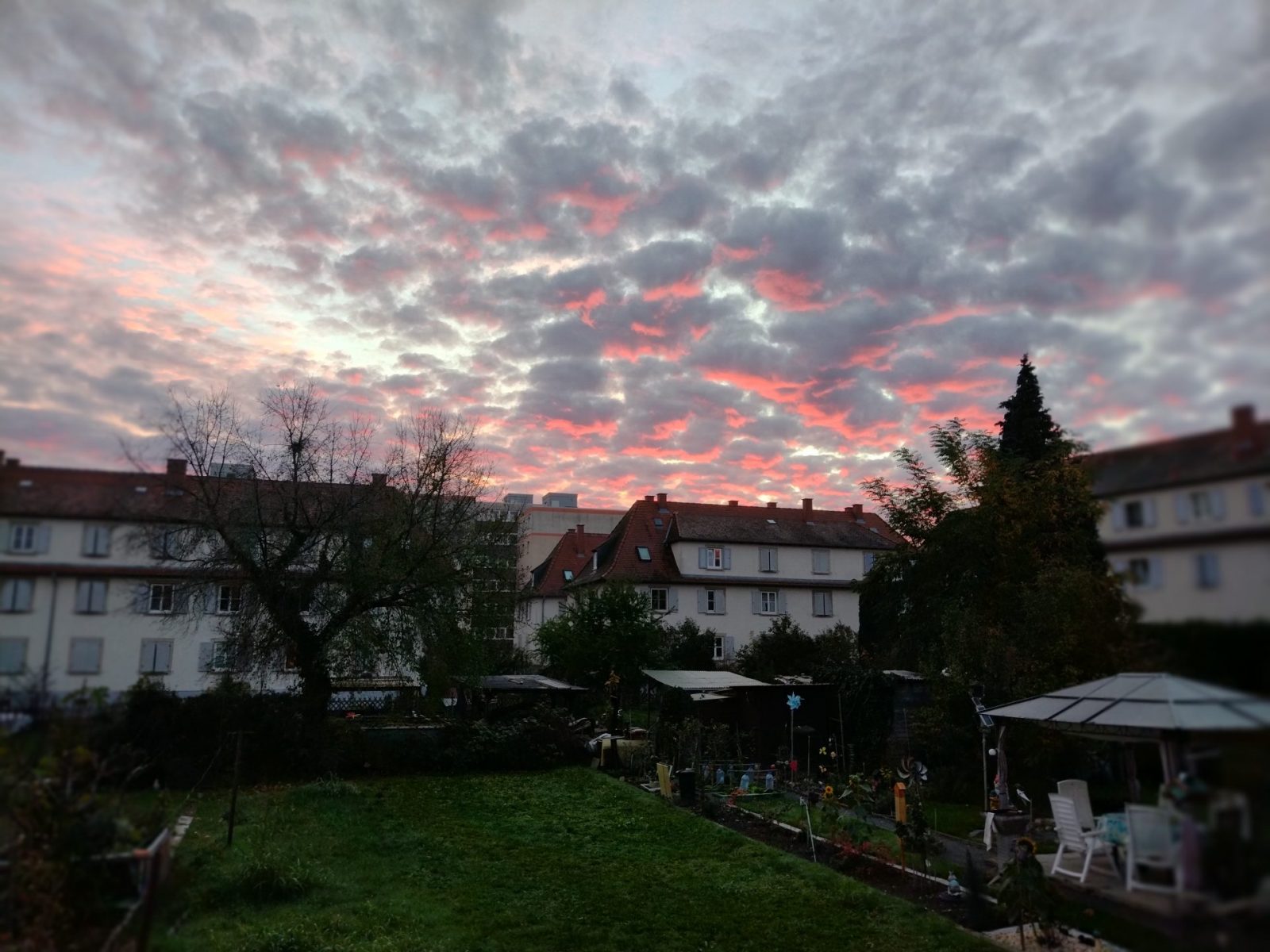 IMG_20221023_075009629_MF_PORTRAIT