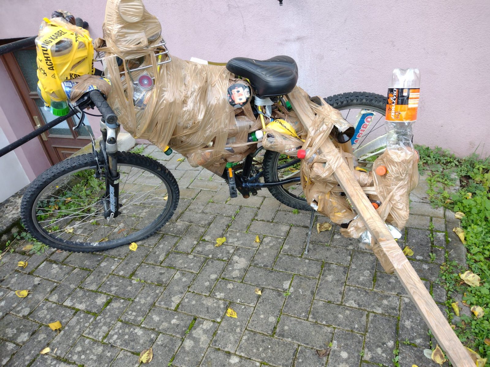 IMG_20221023_120104203