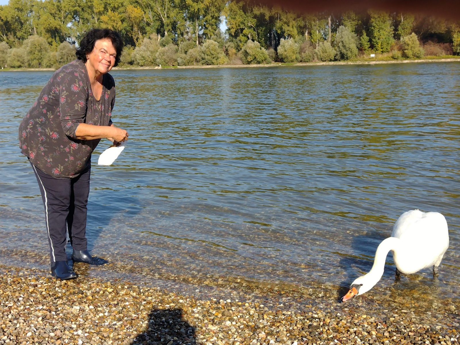 IMG_20221027_122623678_BURST001