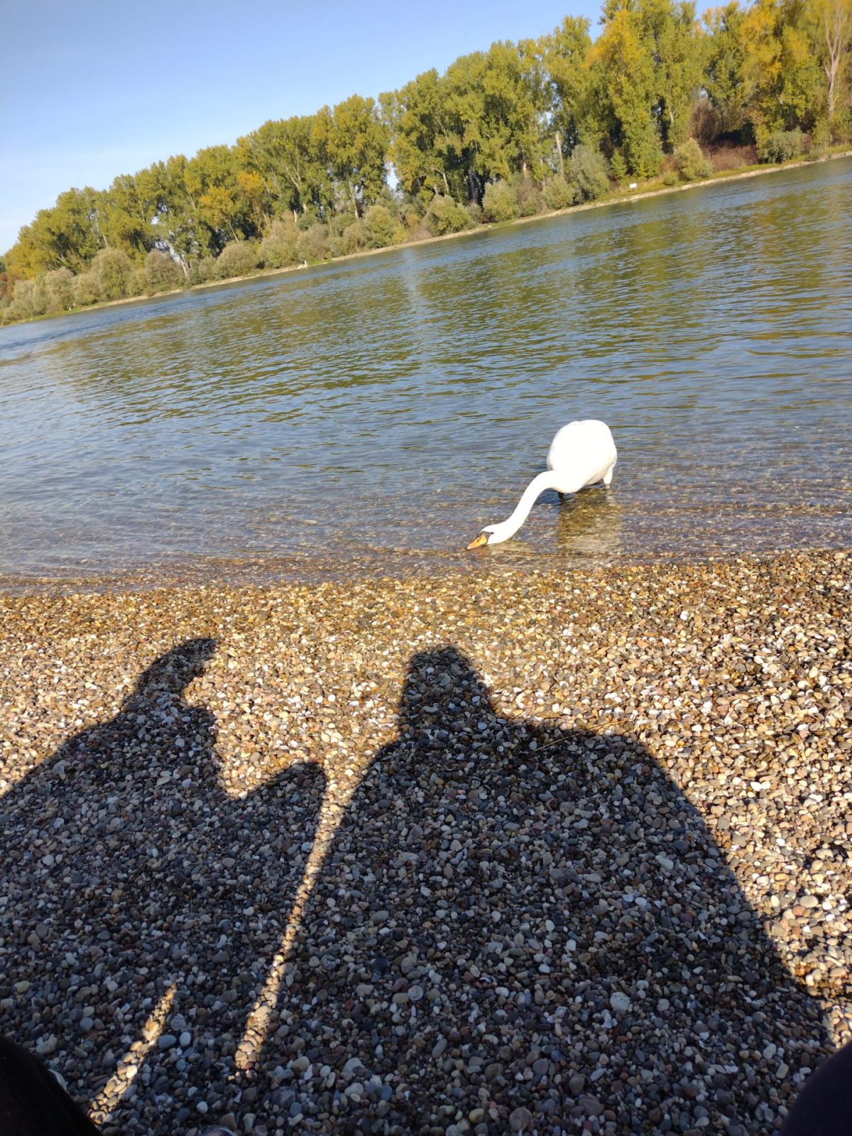 IMG_20221027_123853825