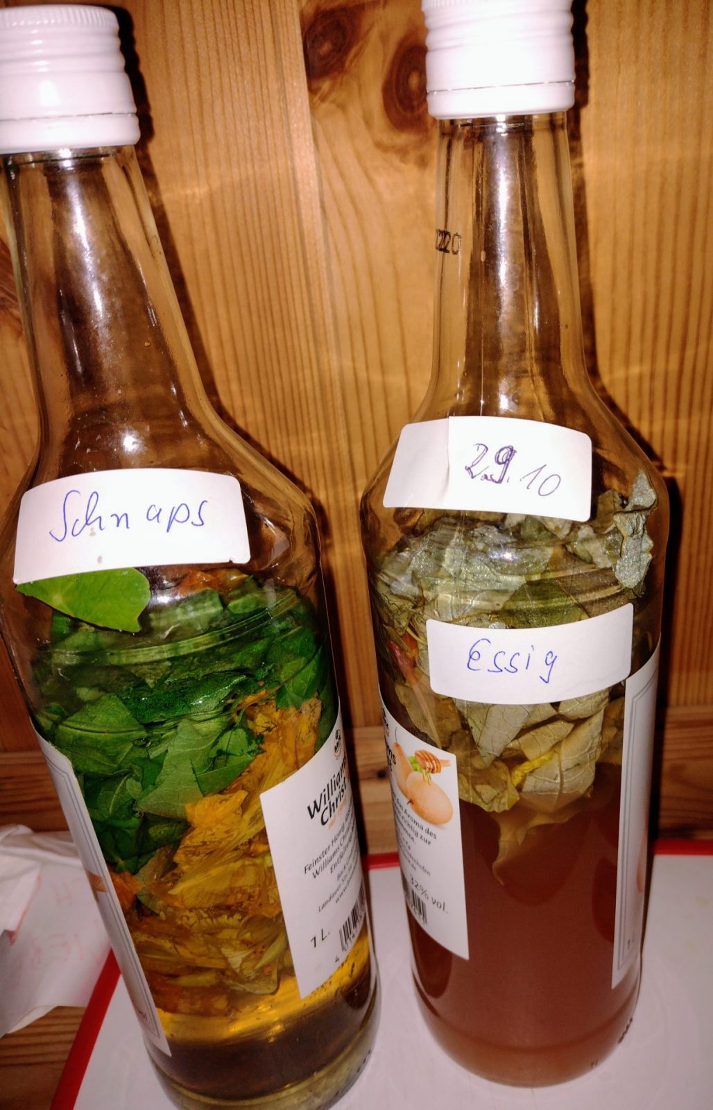 IMG_20221031_183722466