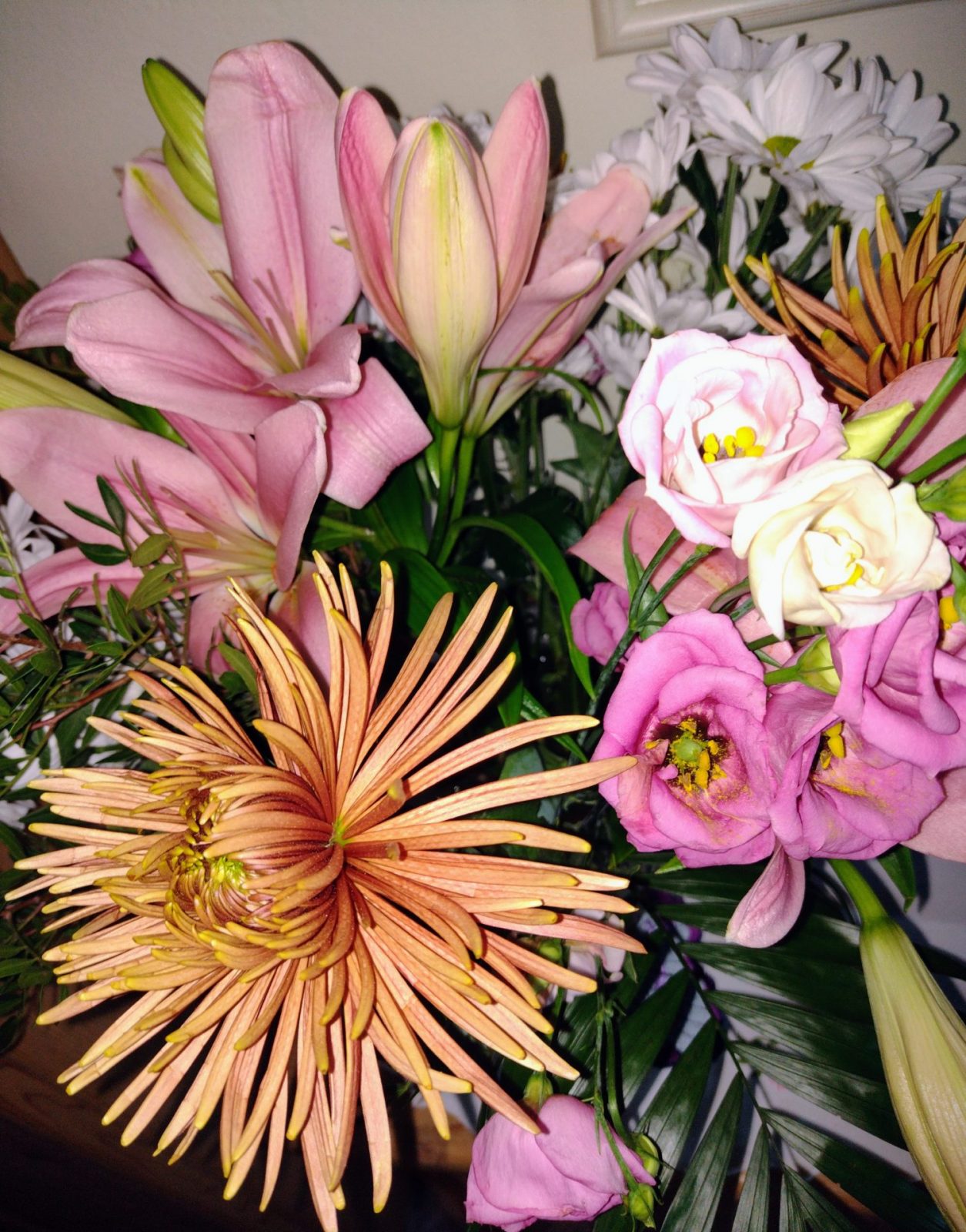 IMG_20221110_152852157