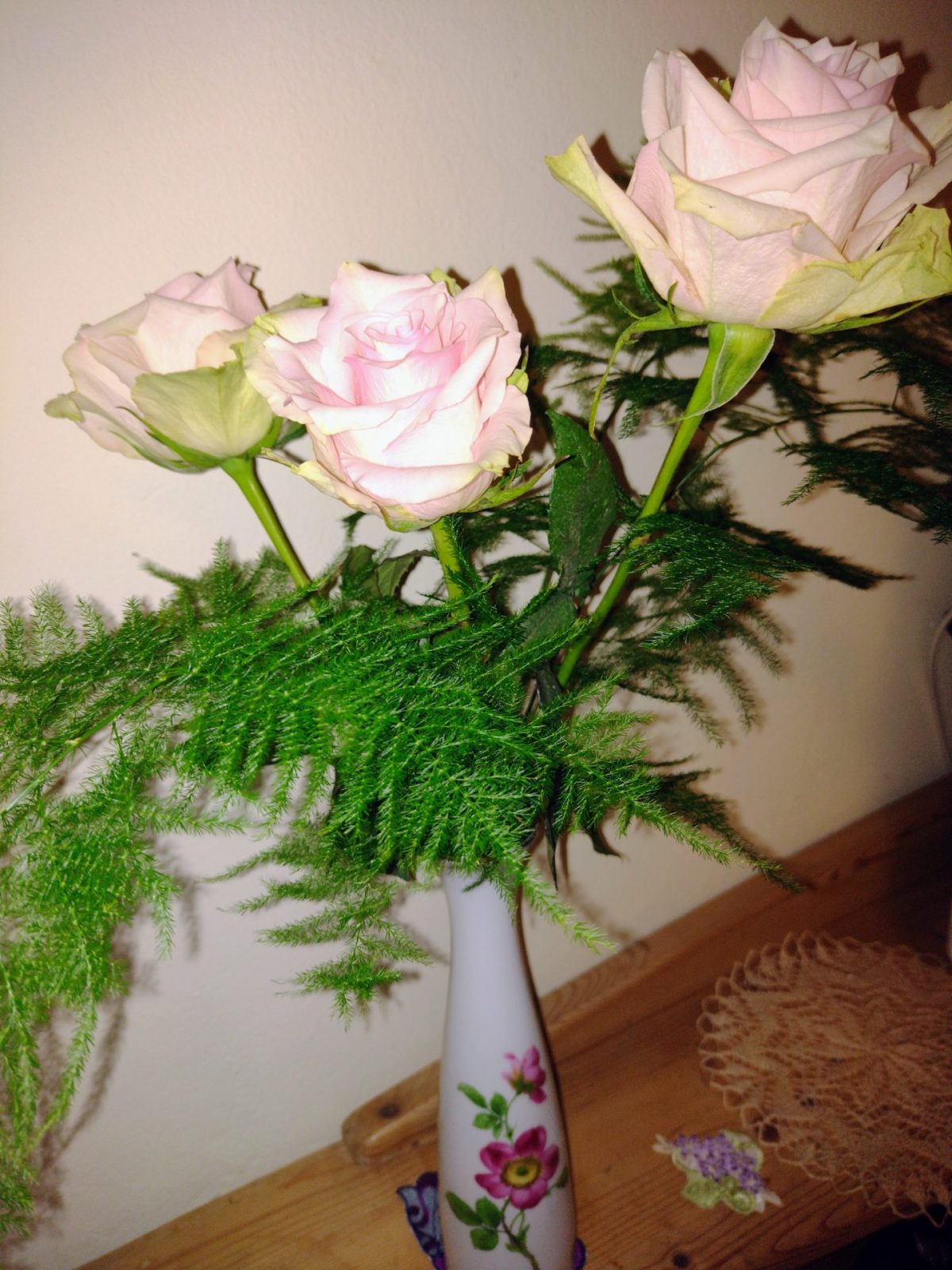 IMG_20221111_031216935