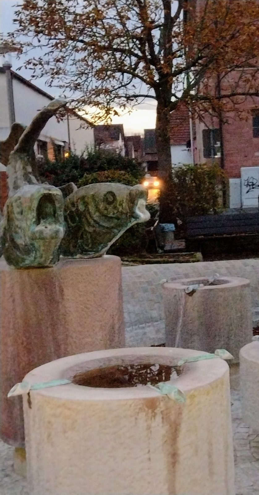 IMG_20221114_170606842