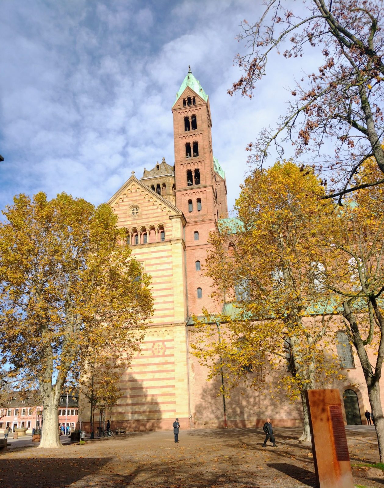 IMG_20221116_113228300