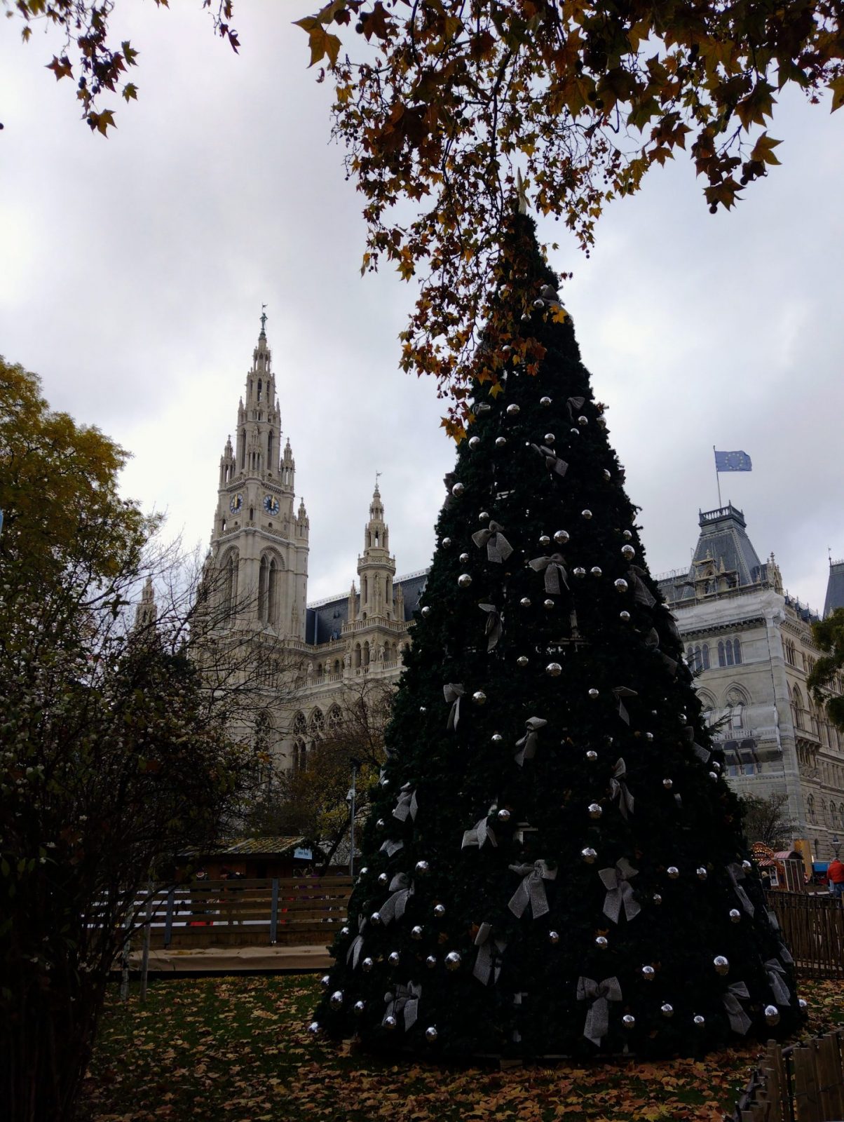 IMG_20221129_120128878