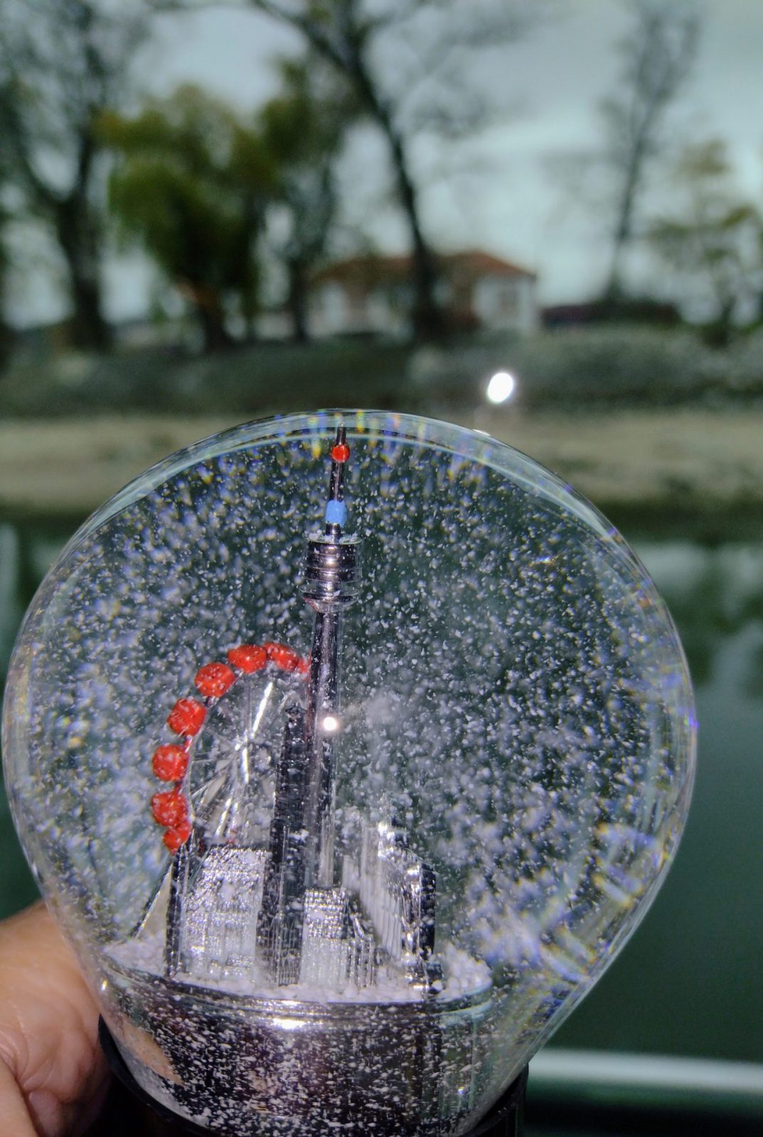 IMG_20221130_112550536