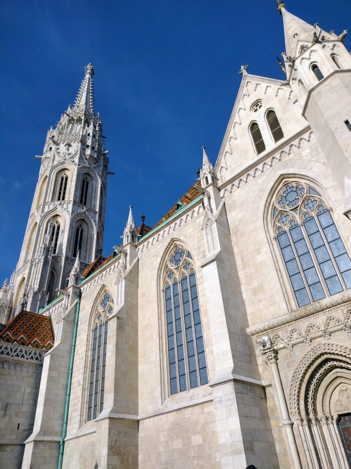 IMG_20221201_095306103