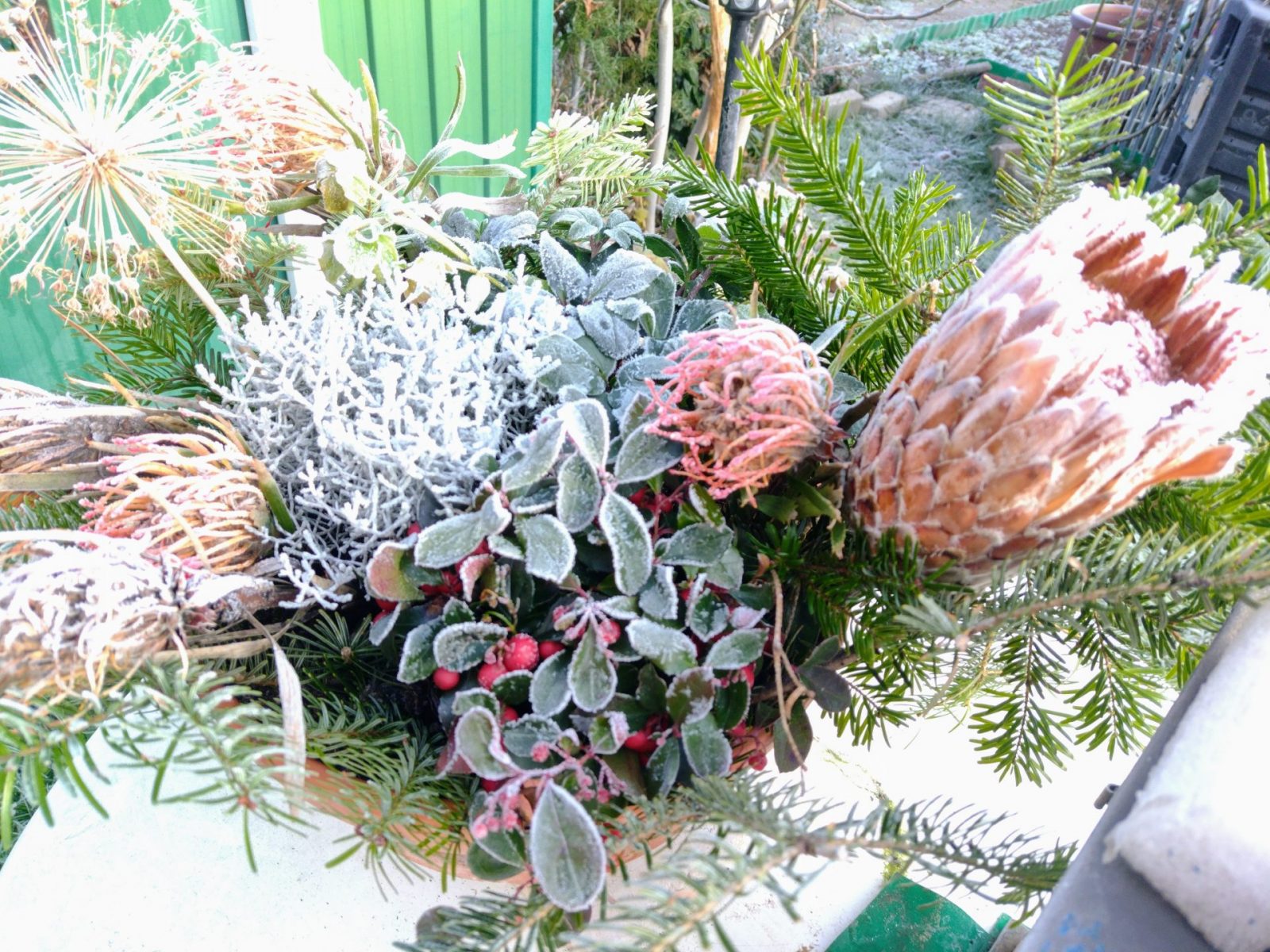 IMG_20221213_103751488