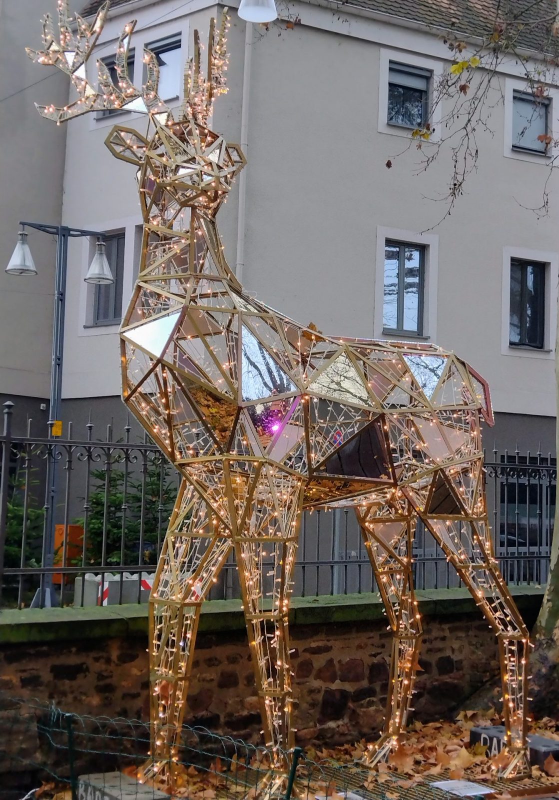 IMG_20221221_114900899