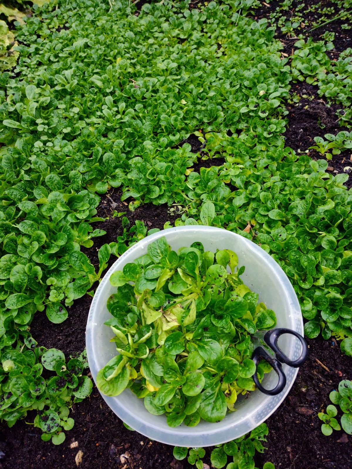 IMG_20221226_154139862