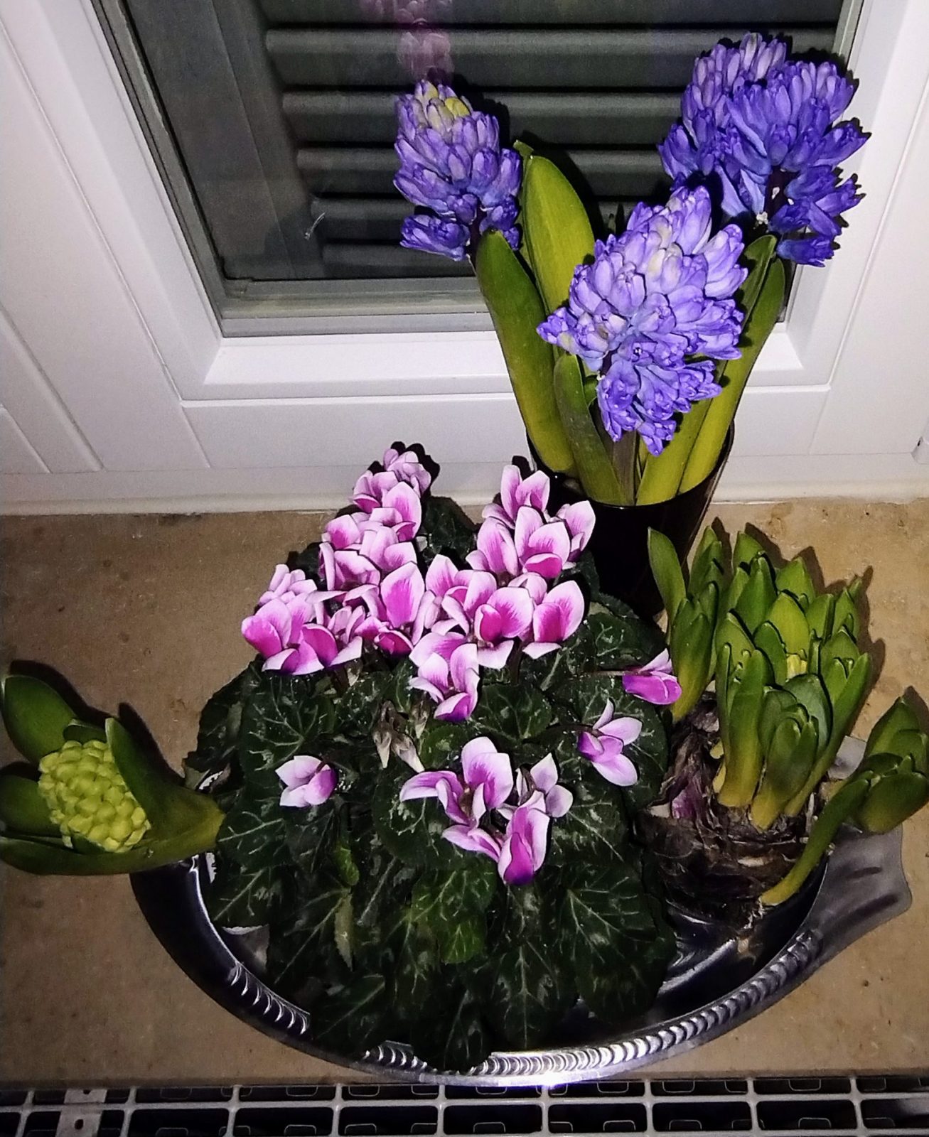 IMG_20230106_070746477