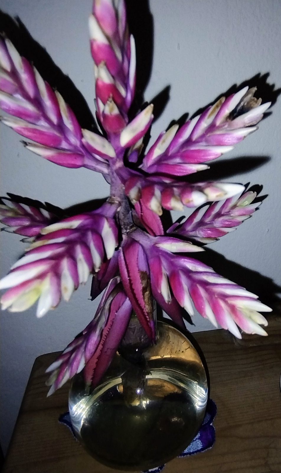 IMG_20230106_070825495