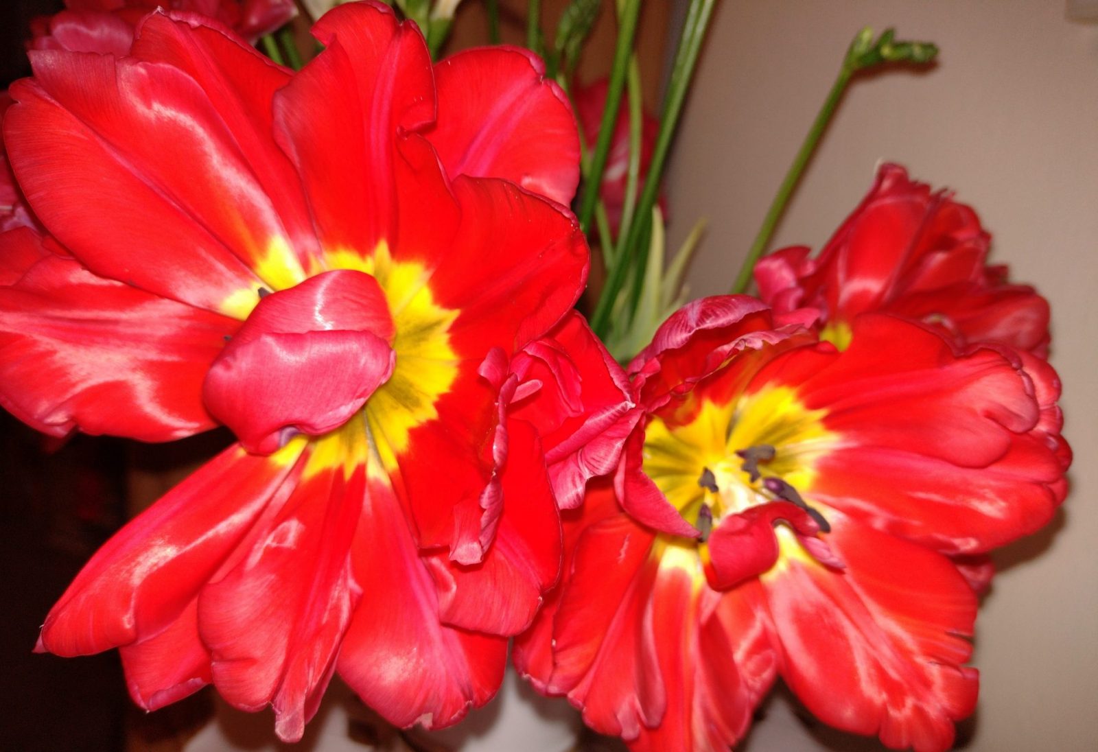 IMG_20230111_075037594