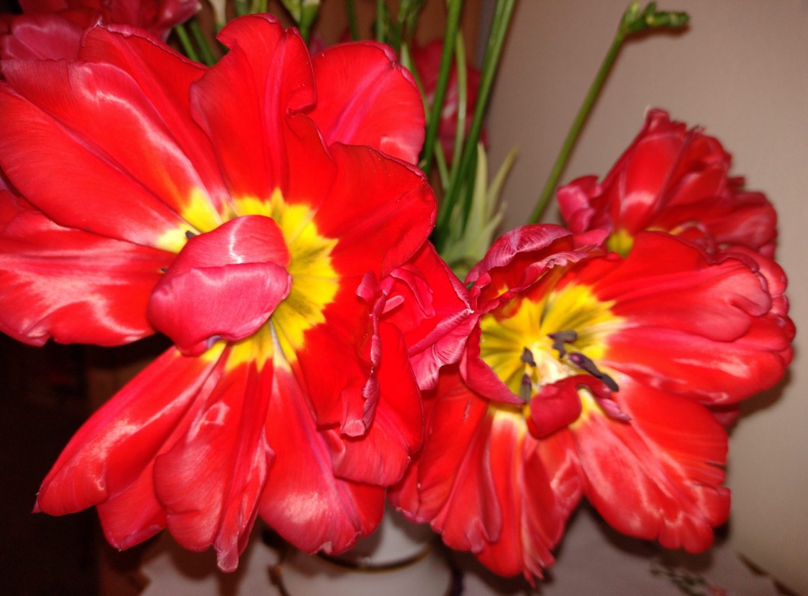 IMG_20230111_075043594