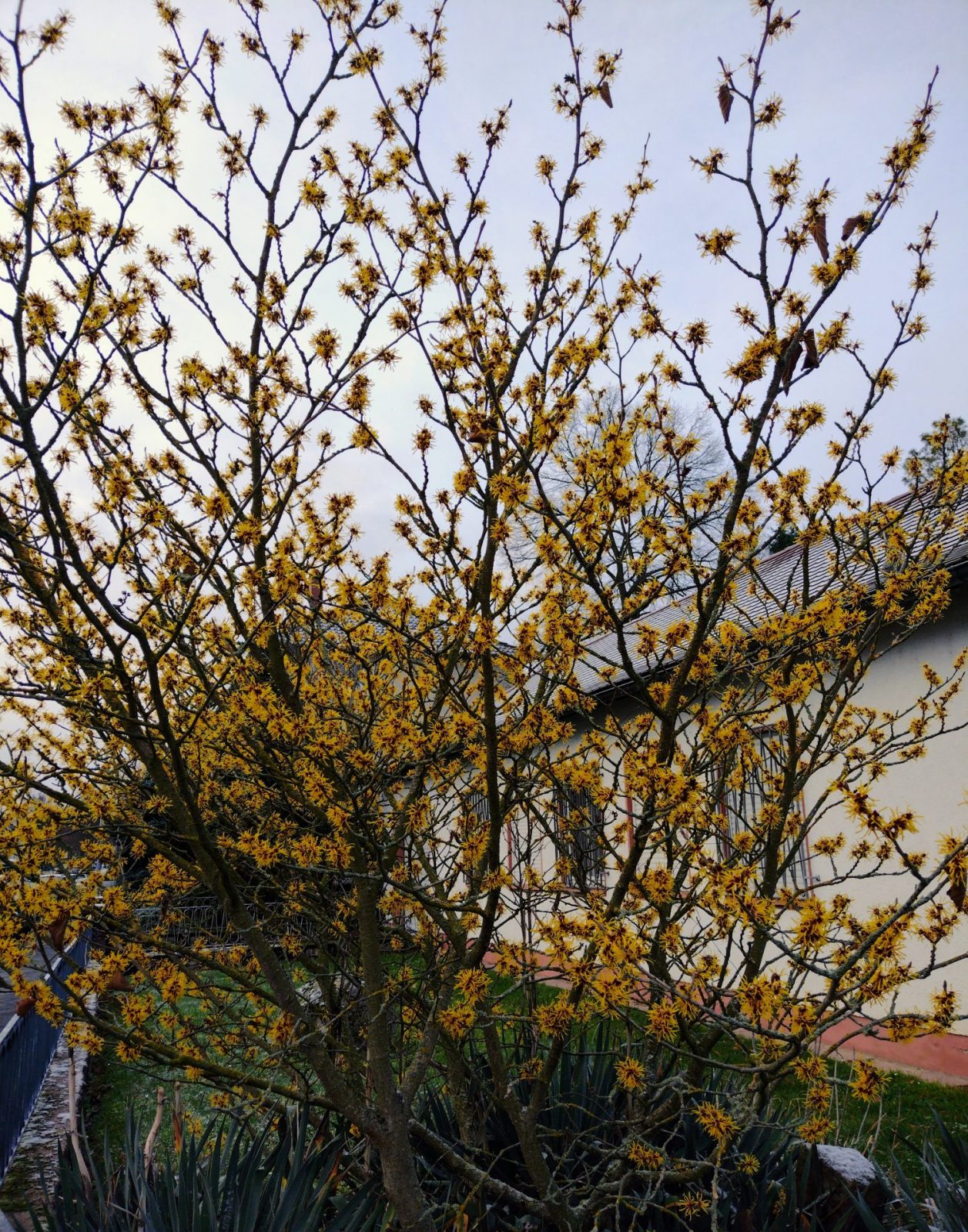 IMG_20230118_084518401