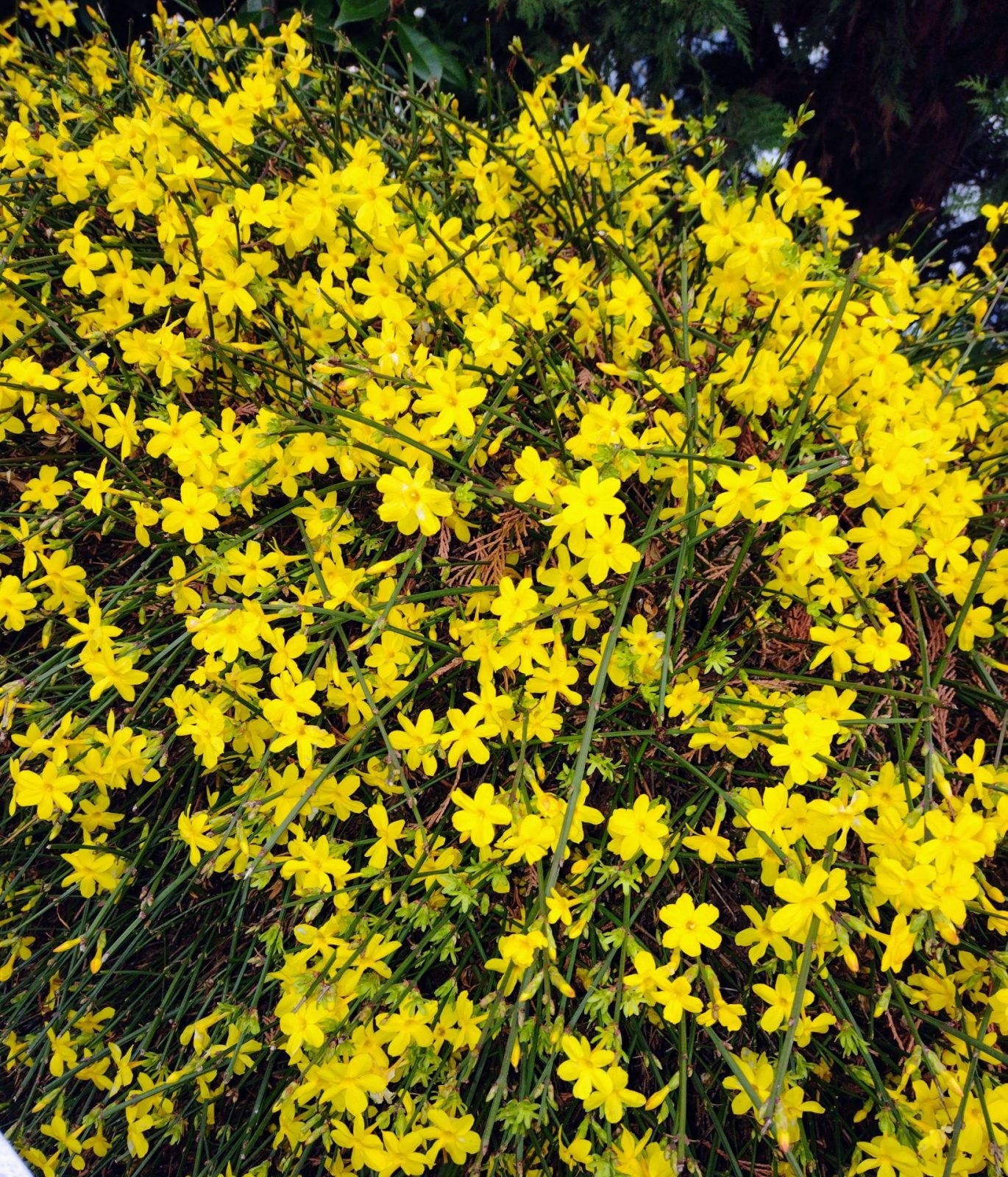 IMG_20230118_084617831