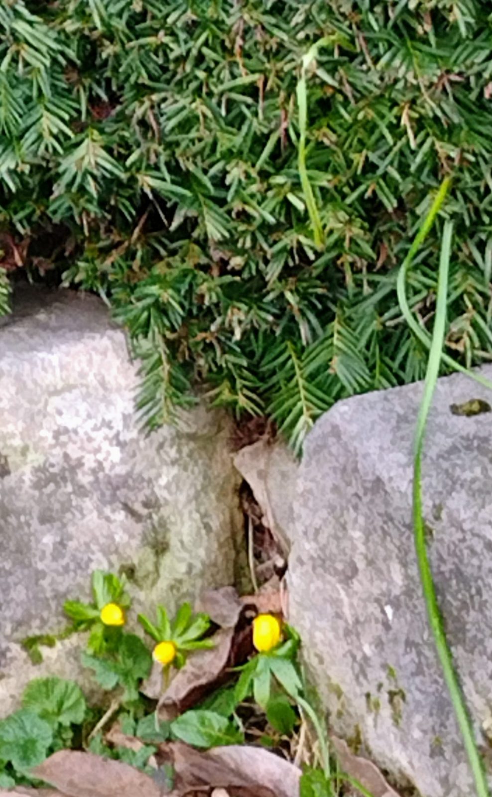 IMG_20230118_084901935