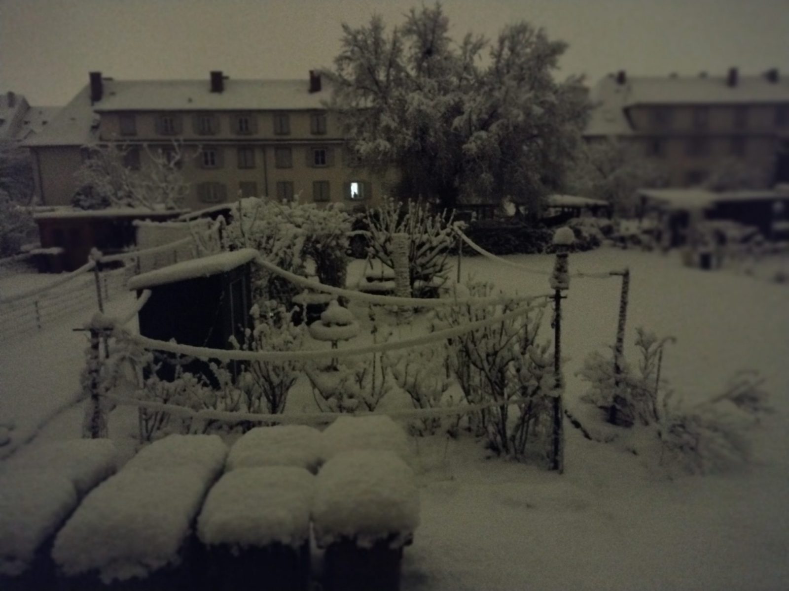 IMG_20230121_015956941_MF_PORTRAIT