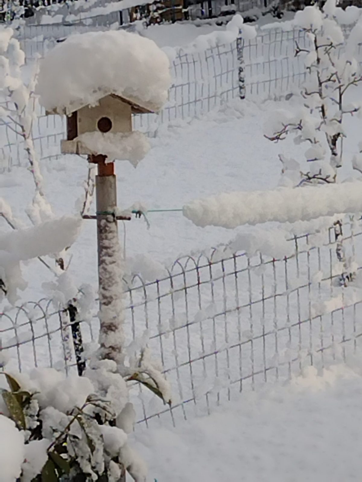 IMG_20230121_094659512