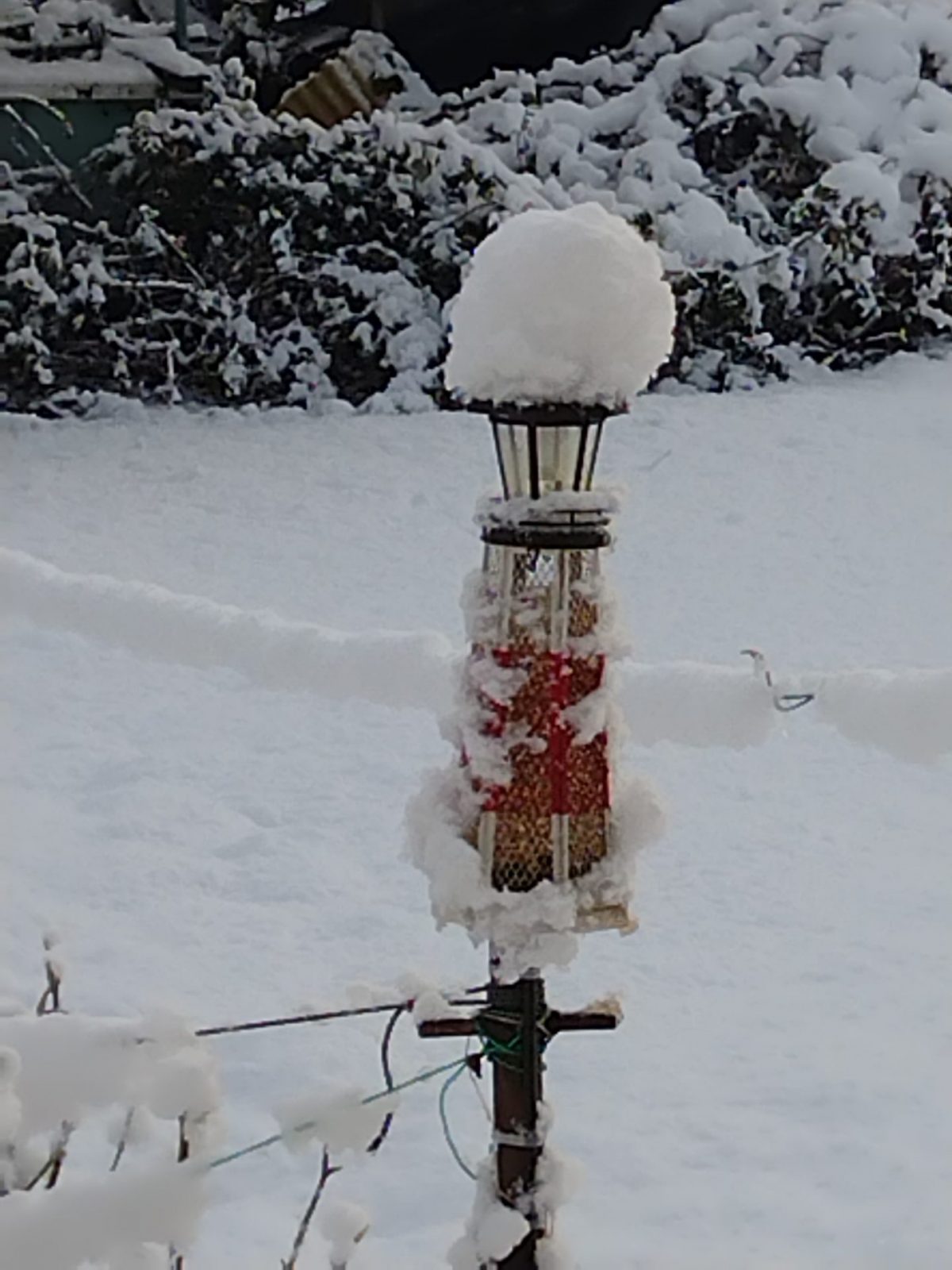 IMG_20230121_094707076