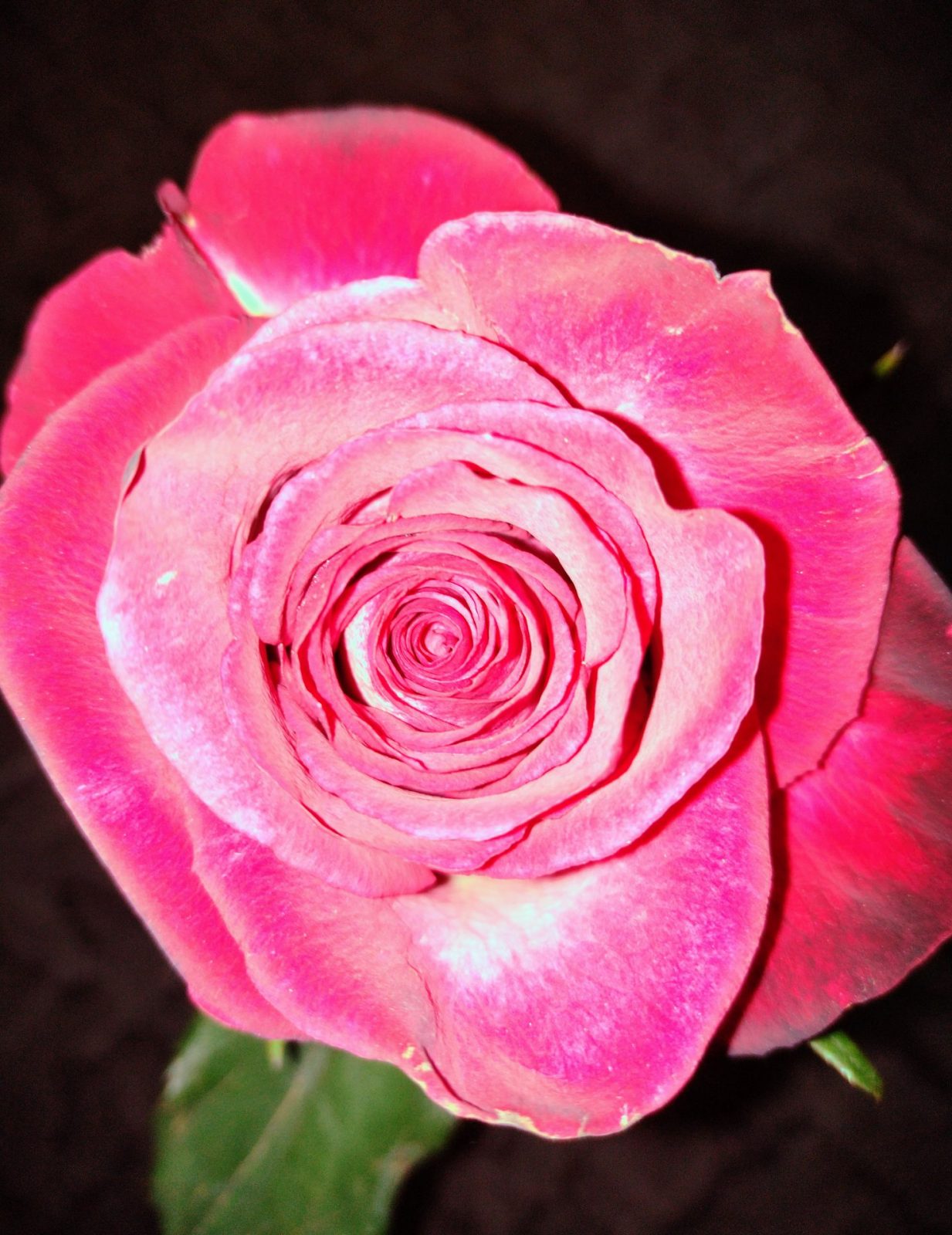 IMG_20230121_113542970