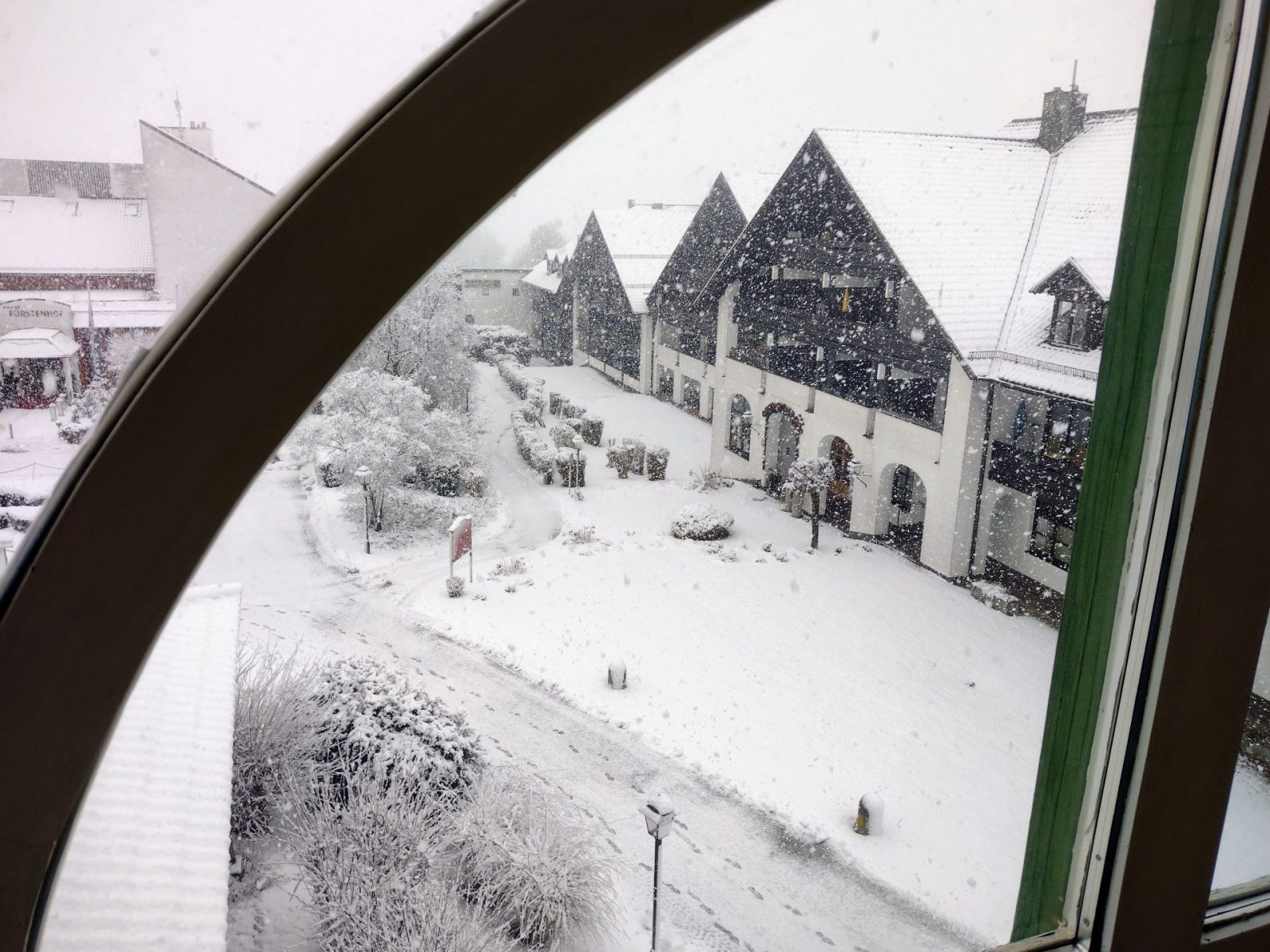 IMG_20230202_094227678