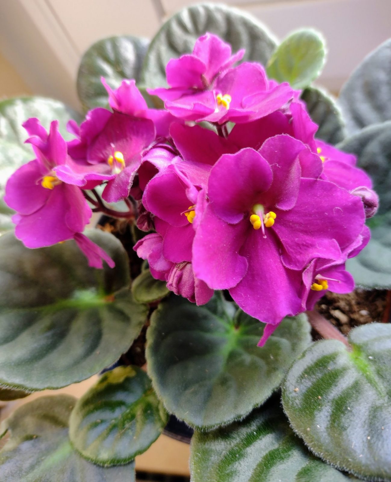 IMG_20230219_100718835