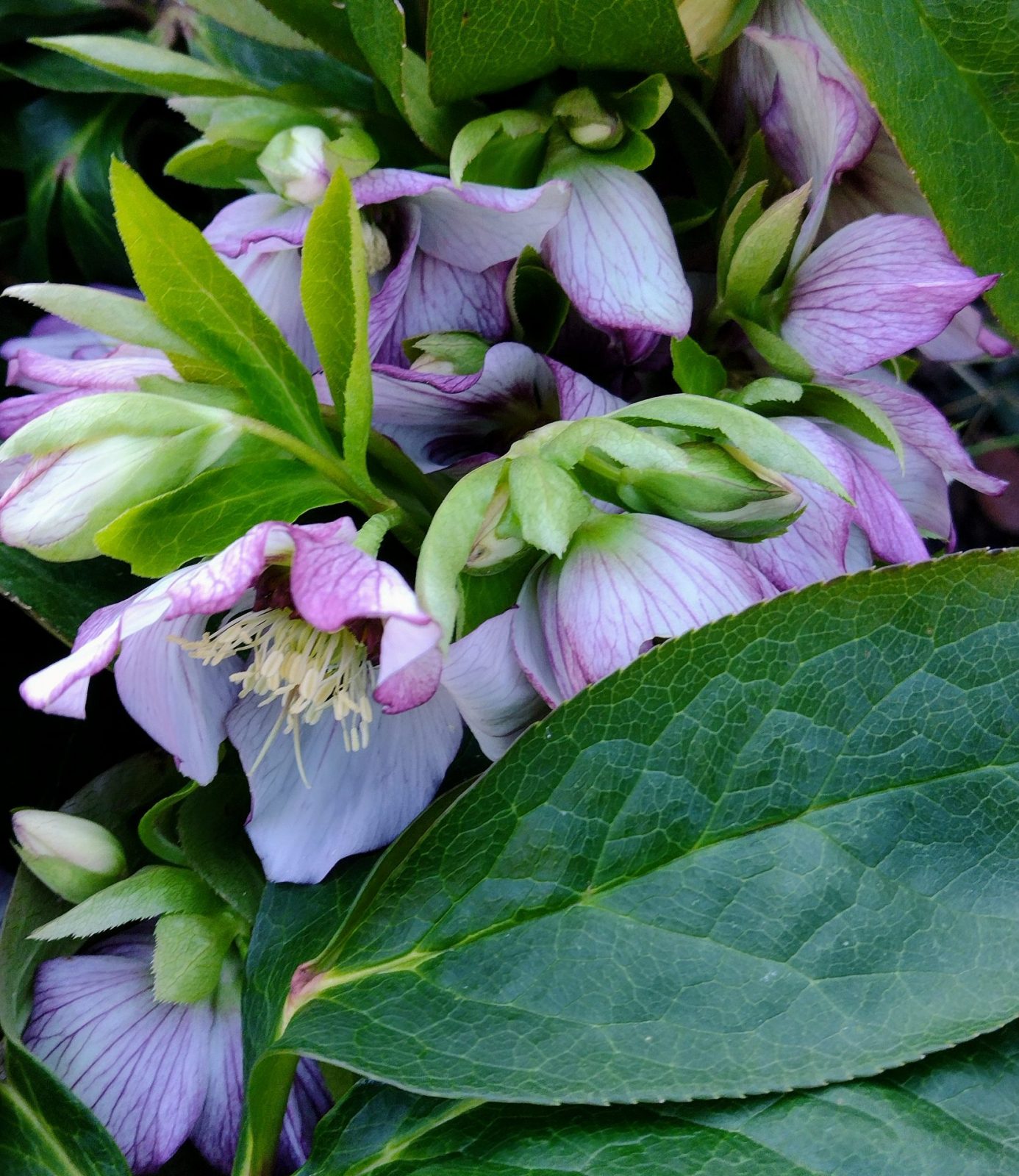 IMG_20230221_142947483 - Kopiert