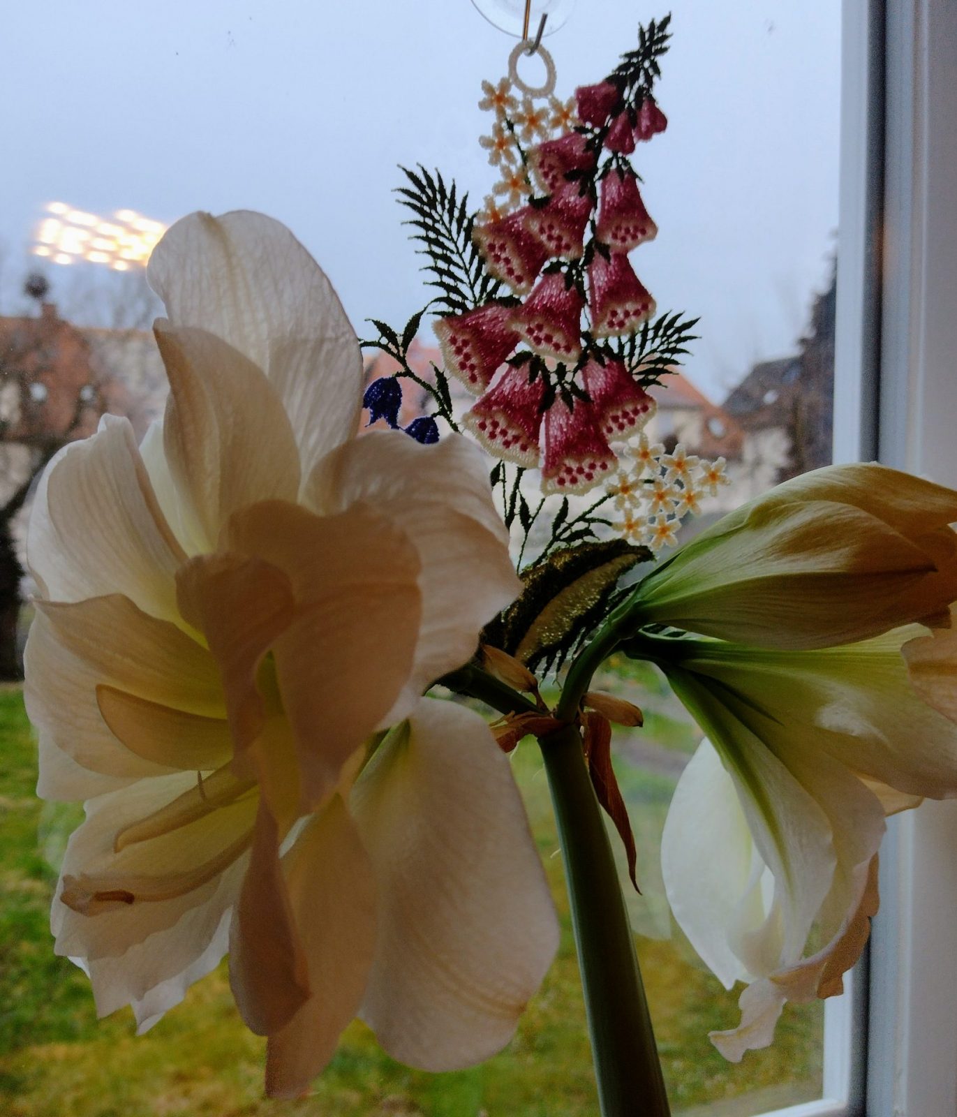 IMG_20230312_073126180