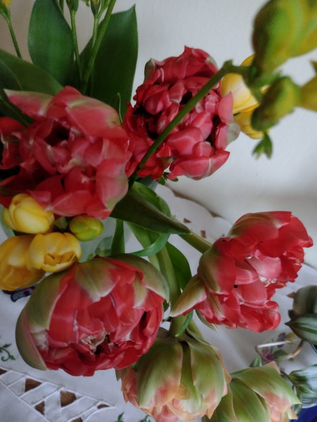 IMG_20230326_081205251