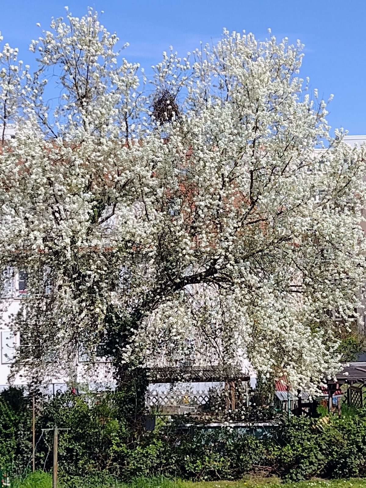 IMG_20230411_155551419