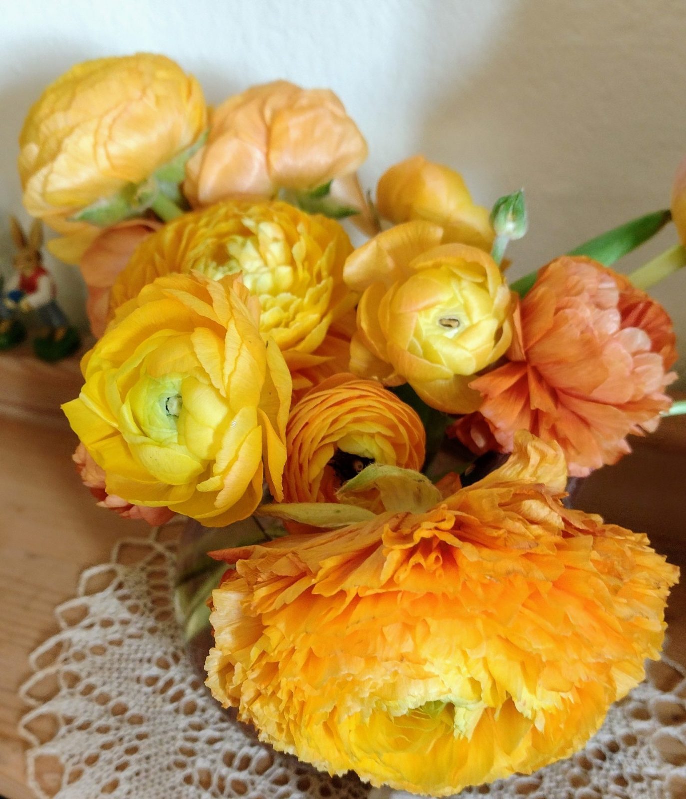 IMG_20230415_092950892