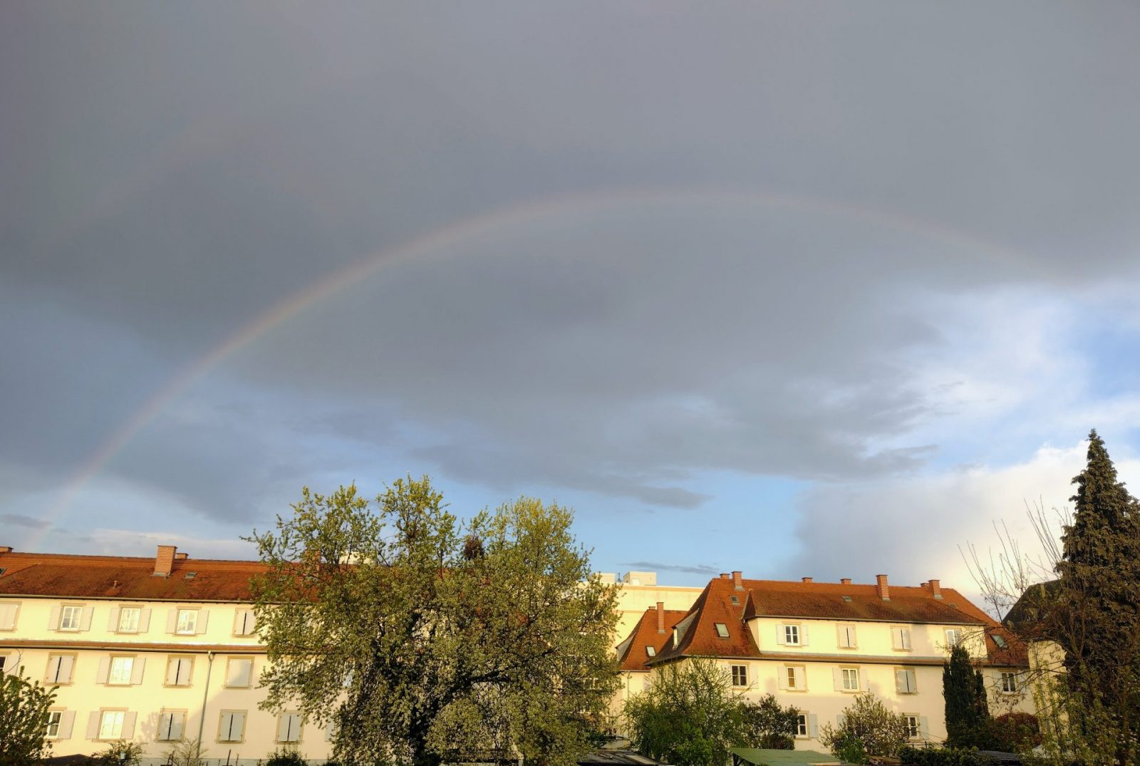 IMG_20230421_193600475