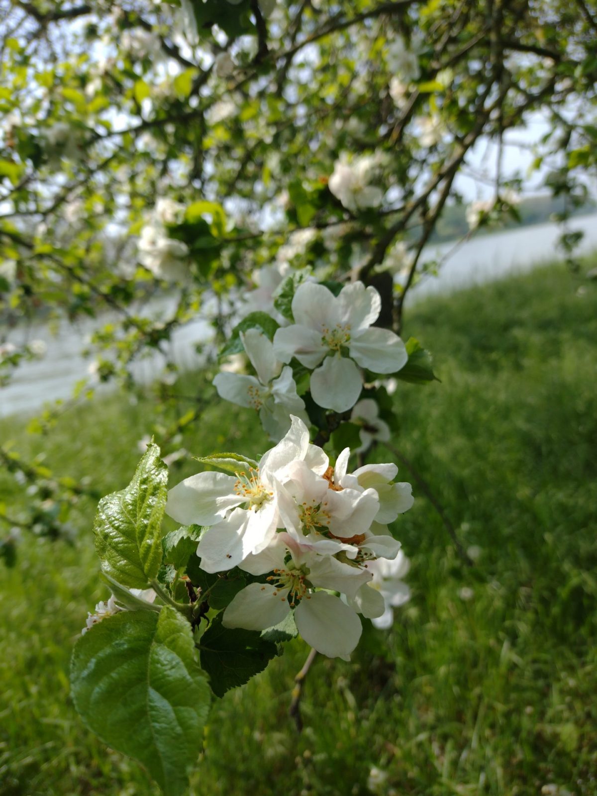 IMG_20230502_114950911