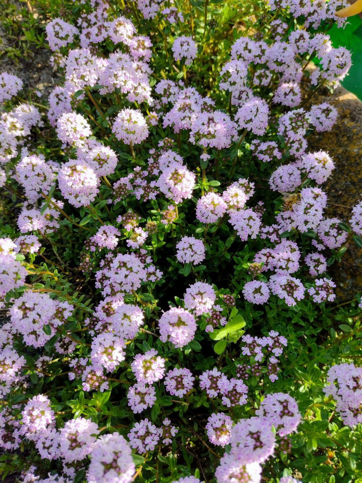 IMG_20230504_165438184