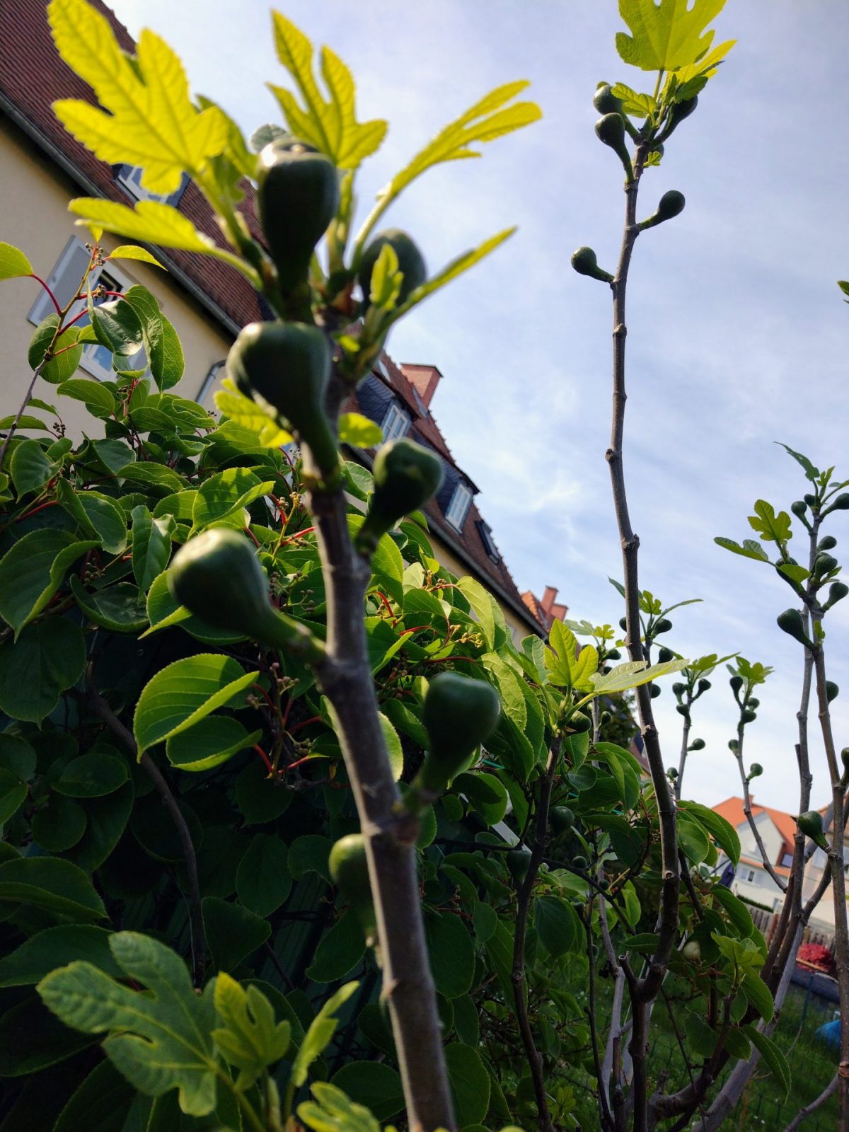 IMG_20230504_165515624