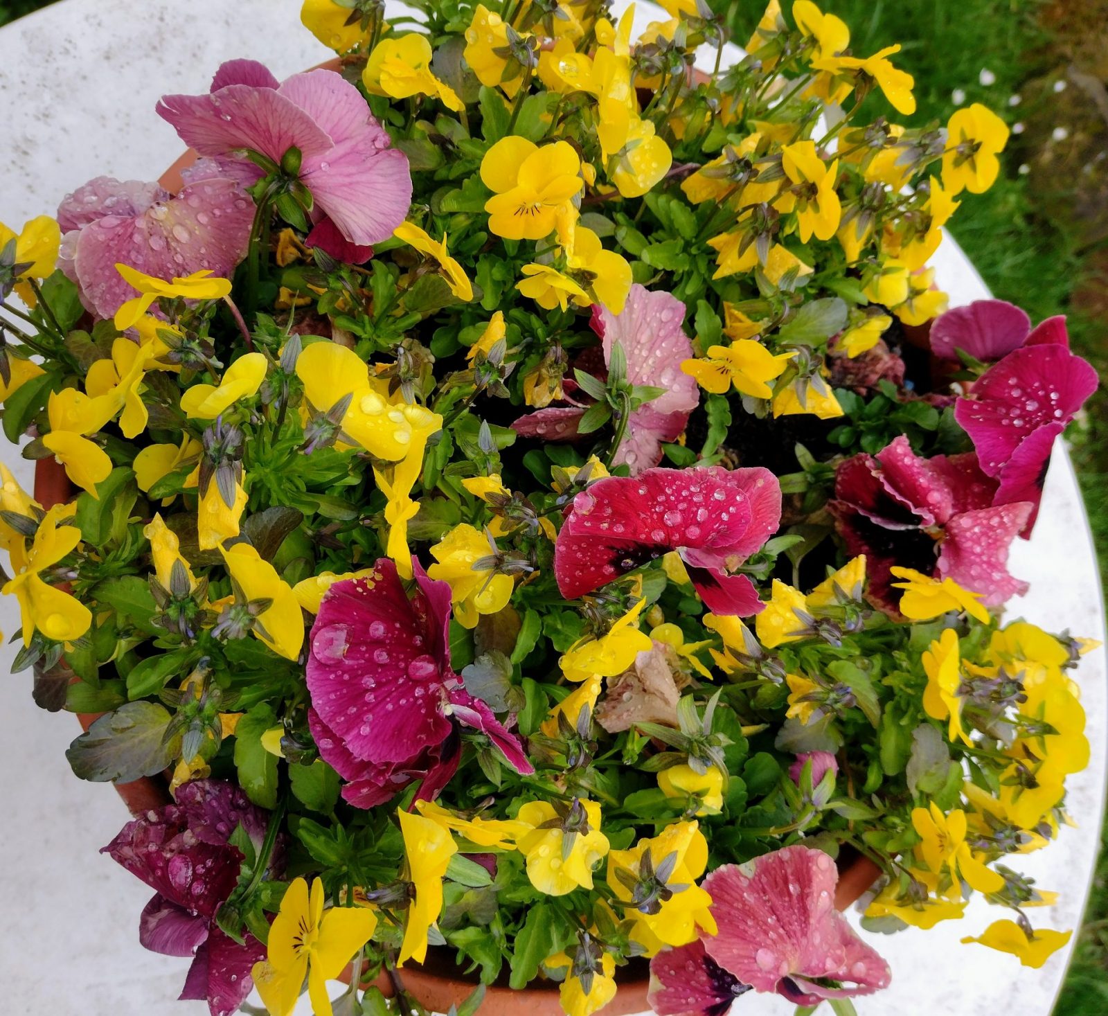 IMG_20230508_120406731