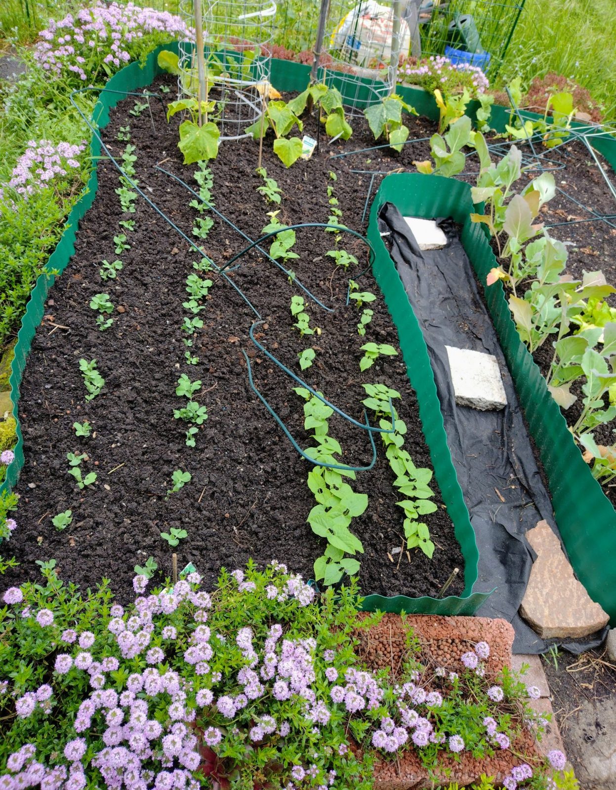 IMG_20230508_125738491