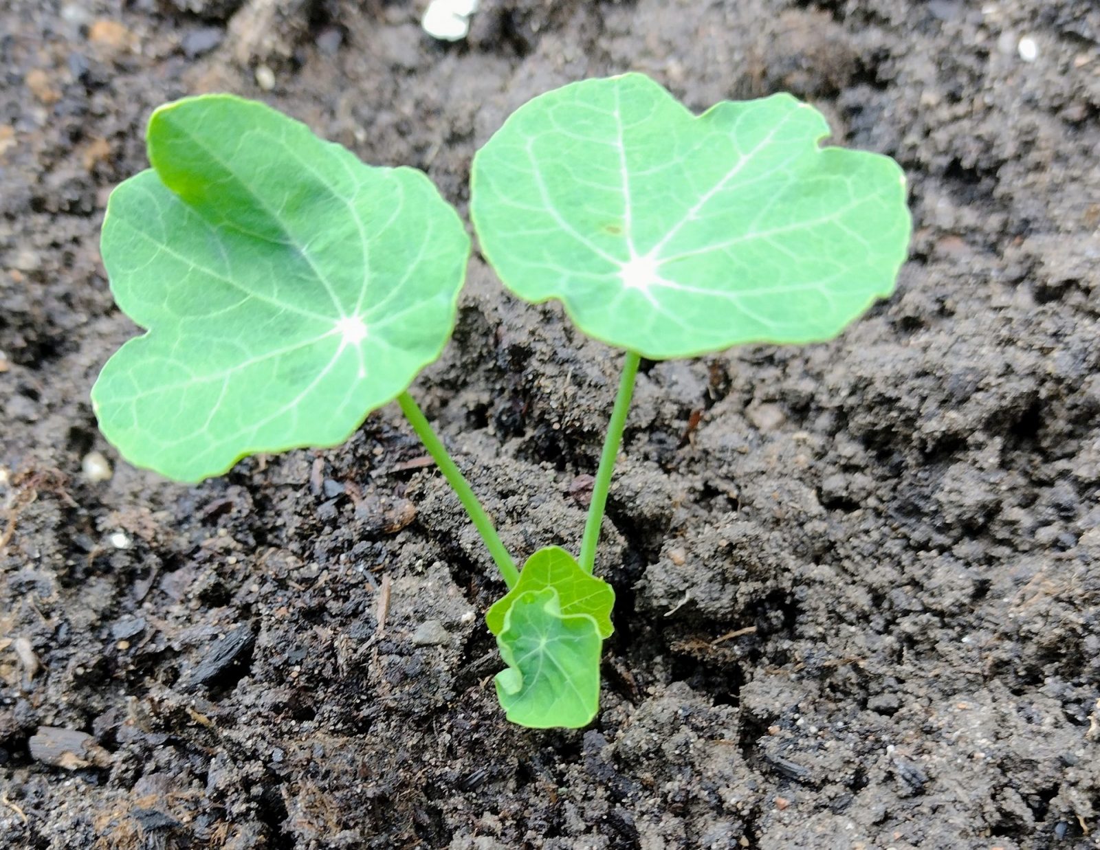 IMG_20230508_125905904